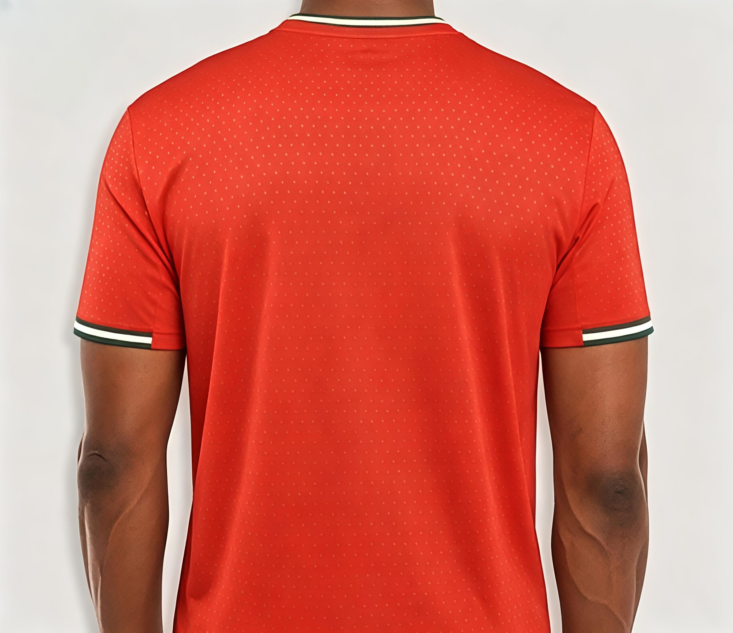 2025-26 Portugal Home-Inspired Blank Soccer Jersey